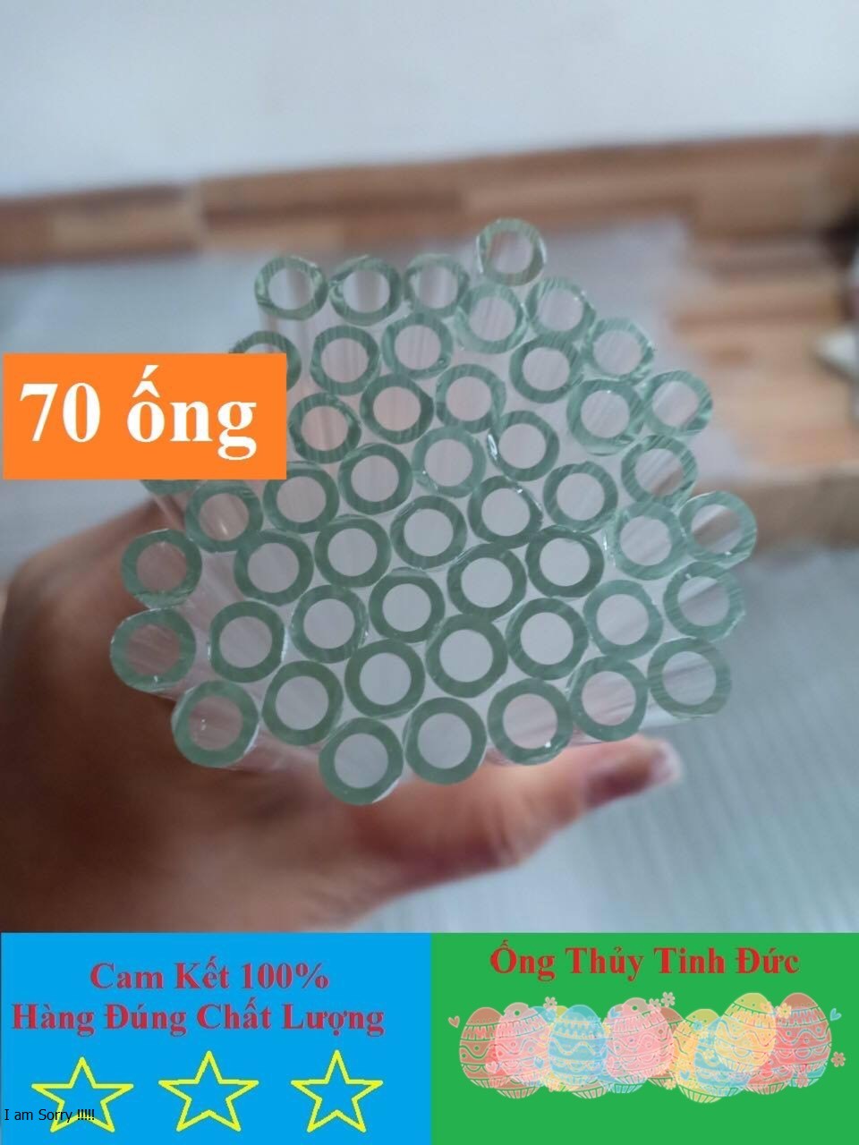 ống thuỷ tinh (70 ống)