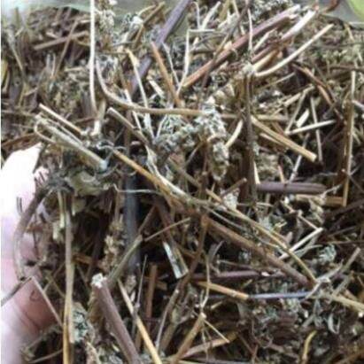 1kg cây kinh giới phơi nắng khô thơm sạch