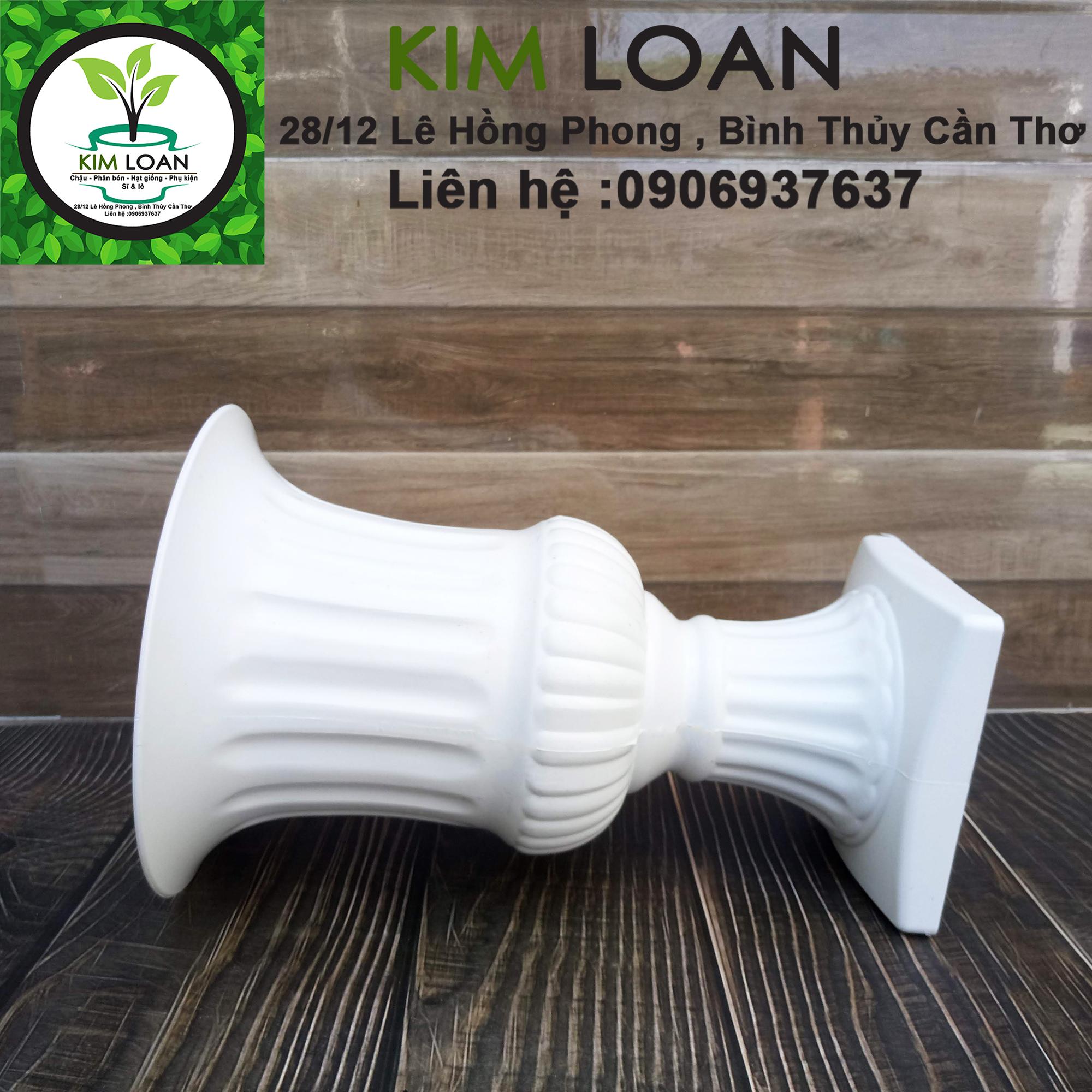Chậu nhựa ly cúp đế vuông 20x30cm