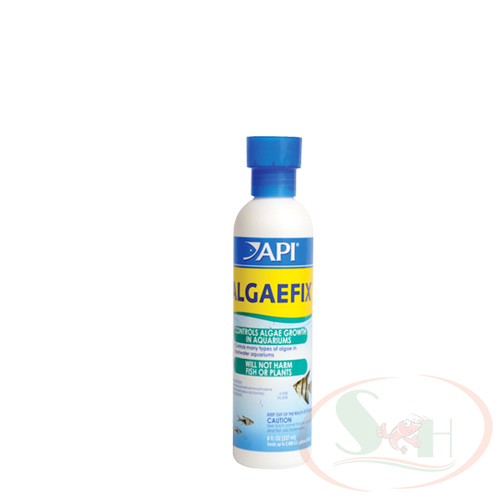 Diệt Rêu Tảo Hại API Algaefix