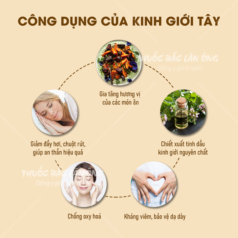 Lá kinh giới tây khô 100g (Lá oregano nguyên liệu món Âu) - Lãn Ông