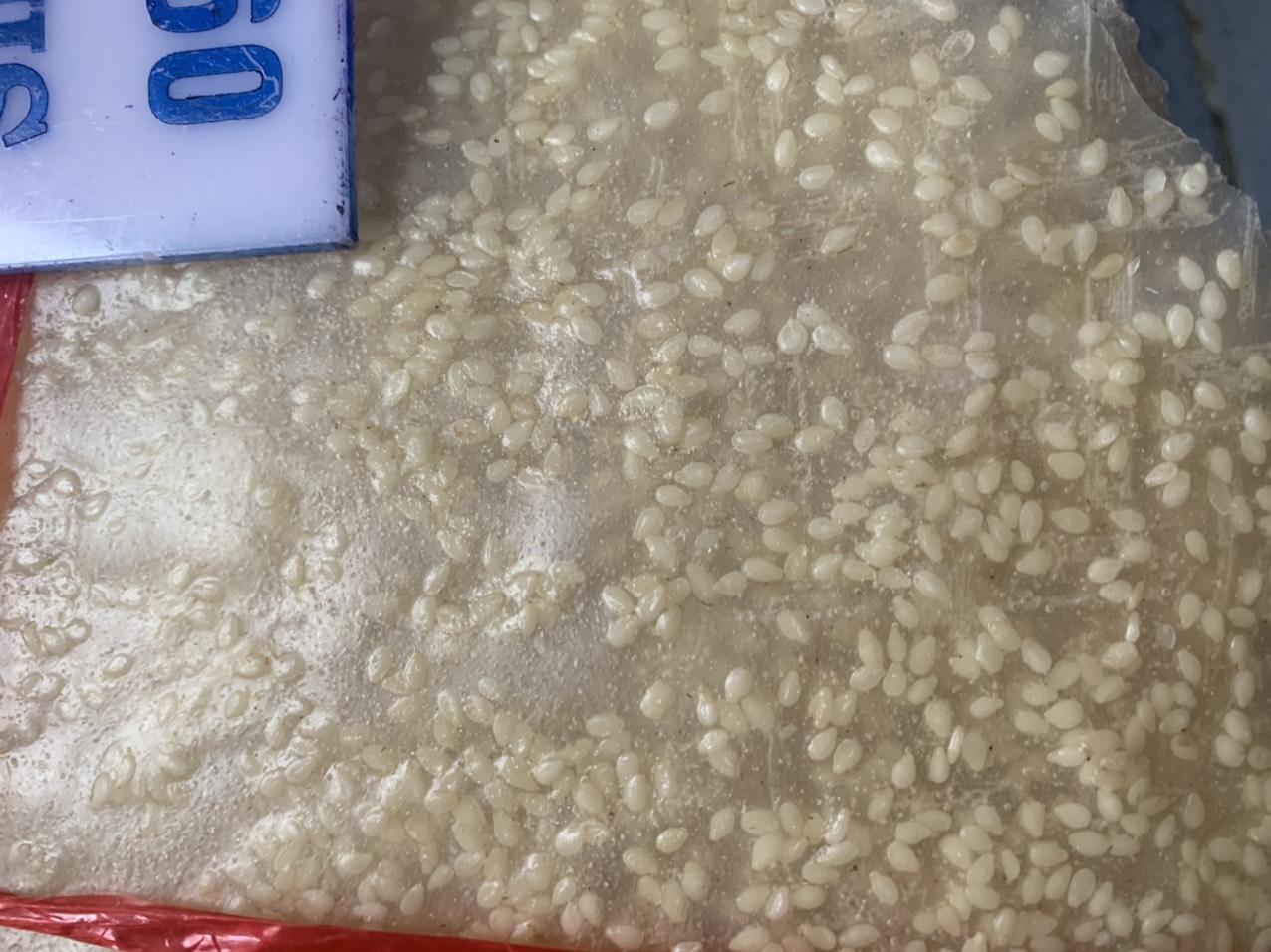 BÁNH TRÁNG GẠO MÈ TRẮNG NƯỚNG  ( ĐẶC SẢN QUÊ HƯƠNG BÌNH ĐỊNH)