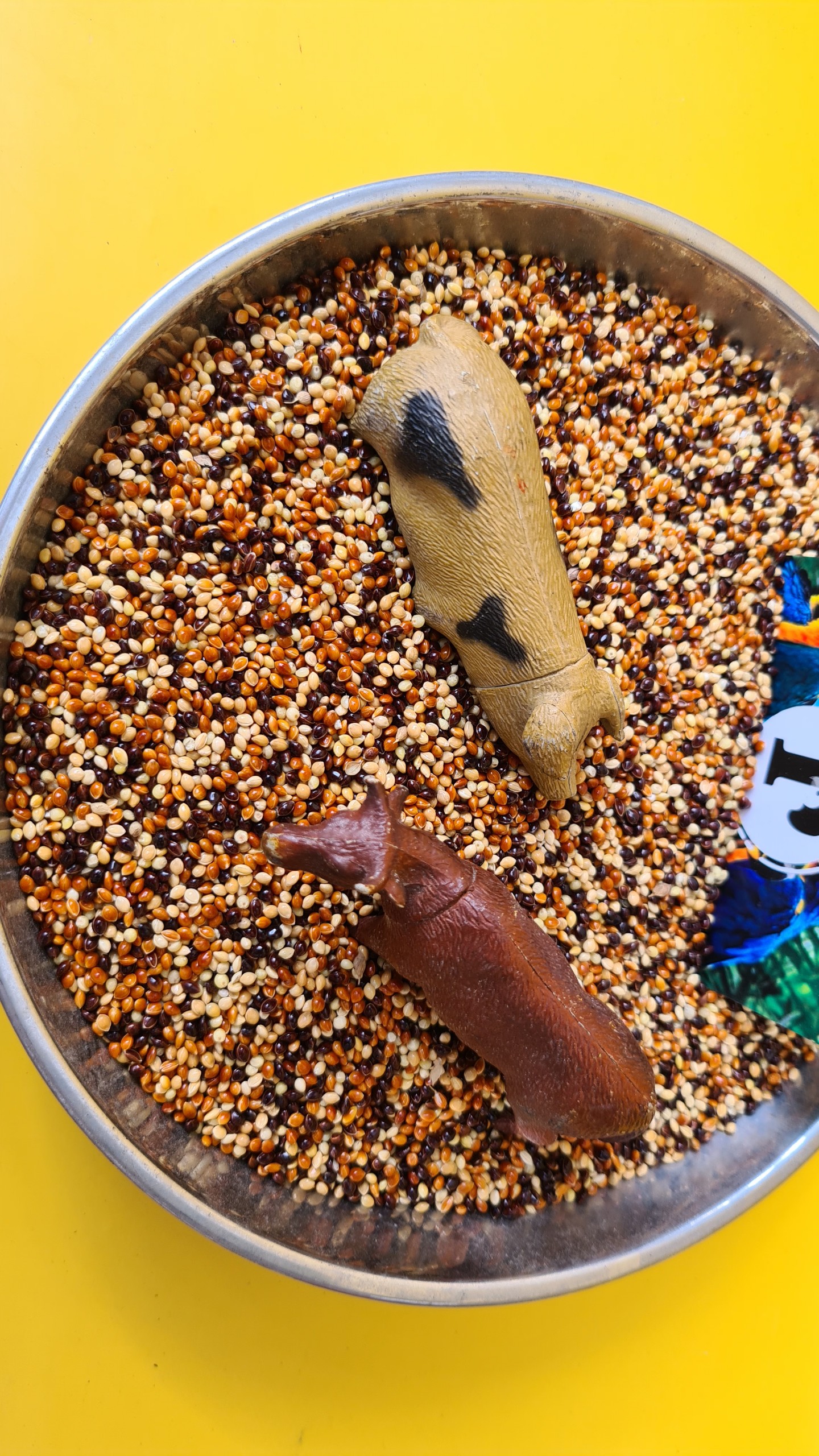 500G KÊ TRỘN 3 MÀU (VÀNG,ĐEN,ĐỎ) CHO VẸT,YẾN PHỤNG,CU GÁY,BỒ CÂU,MANH MANH