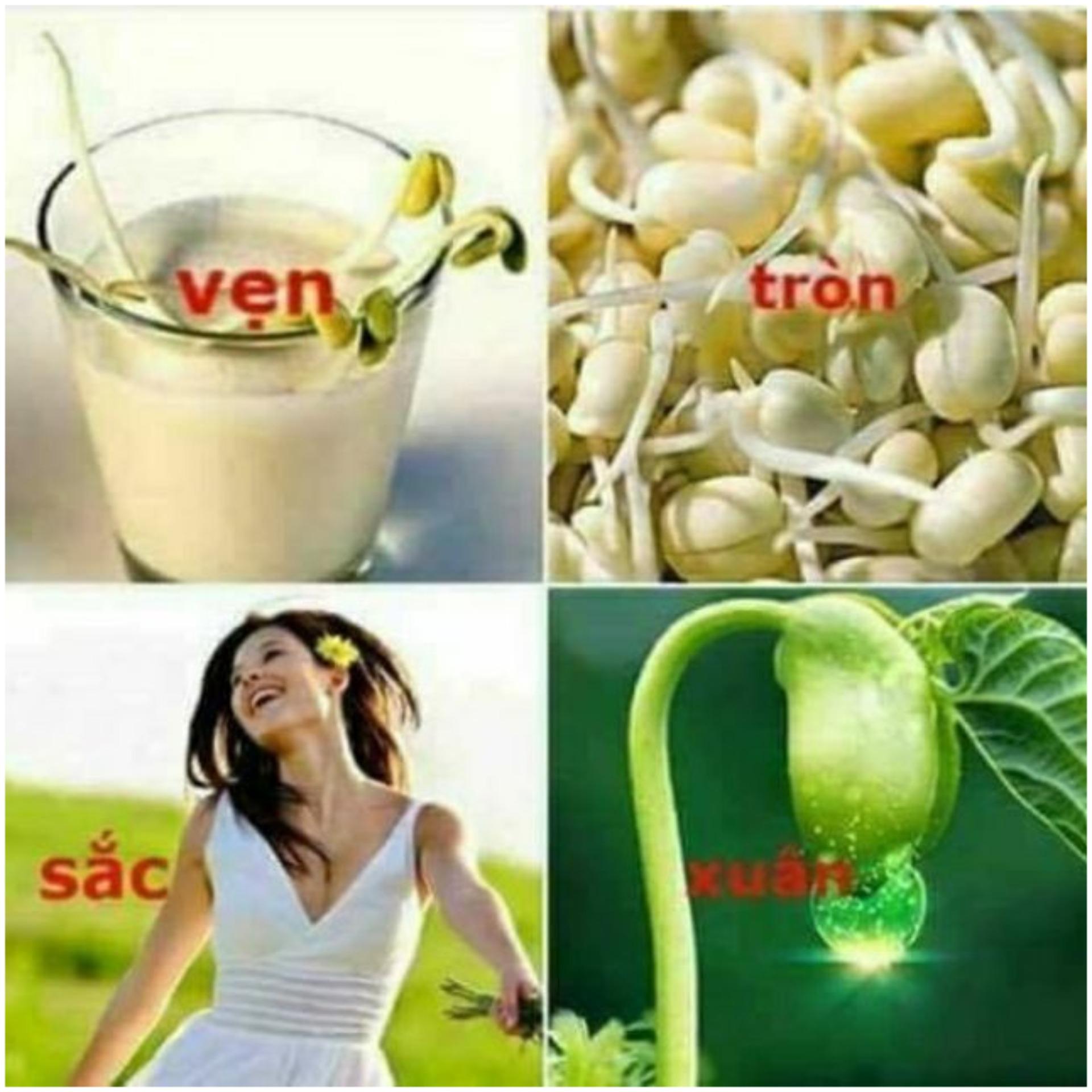 [HCM]500gr bột mầm đậu nành