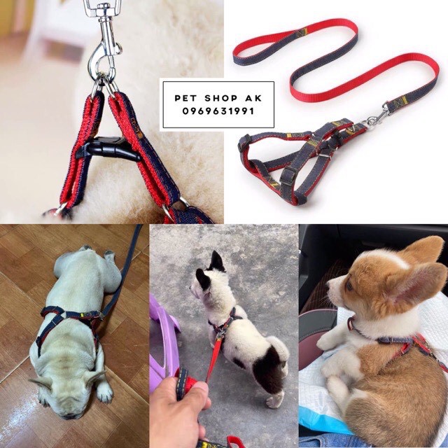 COmbo 3 món dây dắt chó nhỏ kèm yếm và vòng cổ.dây dắt cún đi dạo