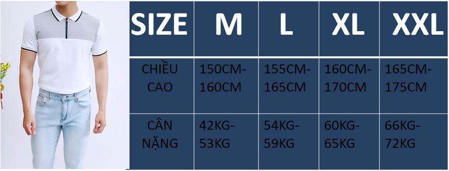 [HCM]ÁO THUN NAM PHỐI VIỀN VAI CÁ TÍNH