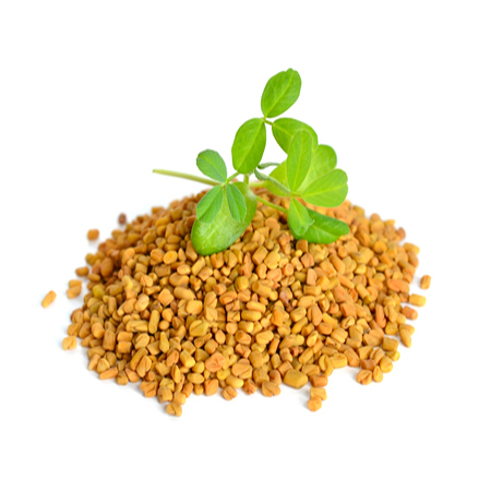 Hạt methi Ấn Độ 1kg - Tấn Phát