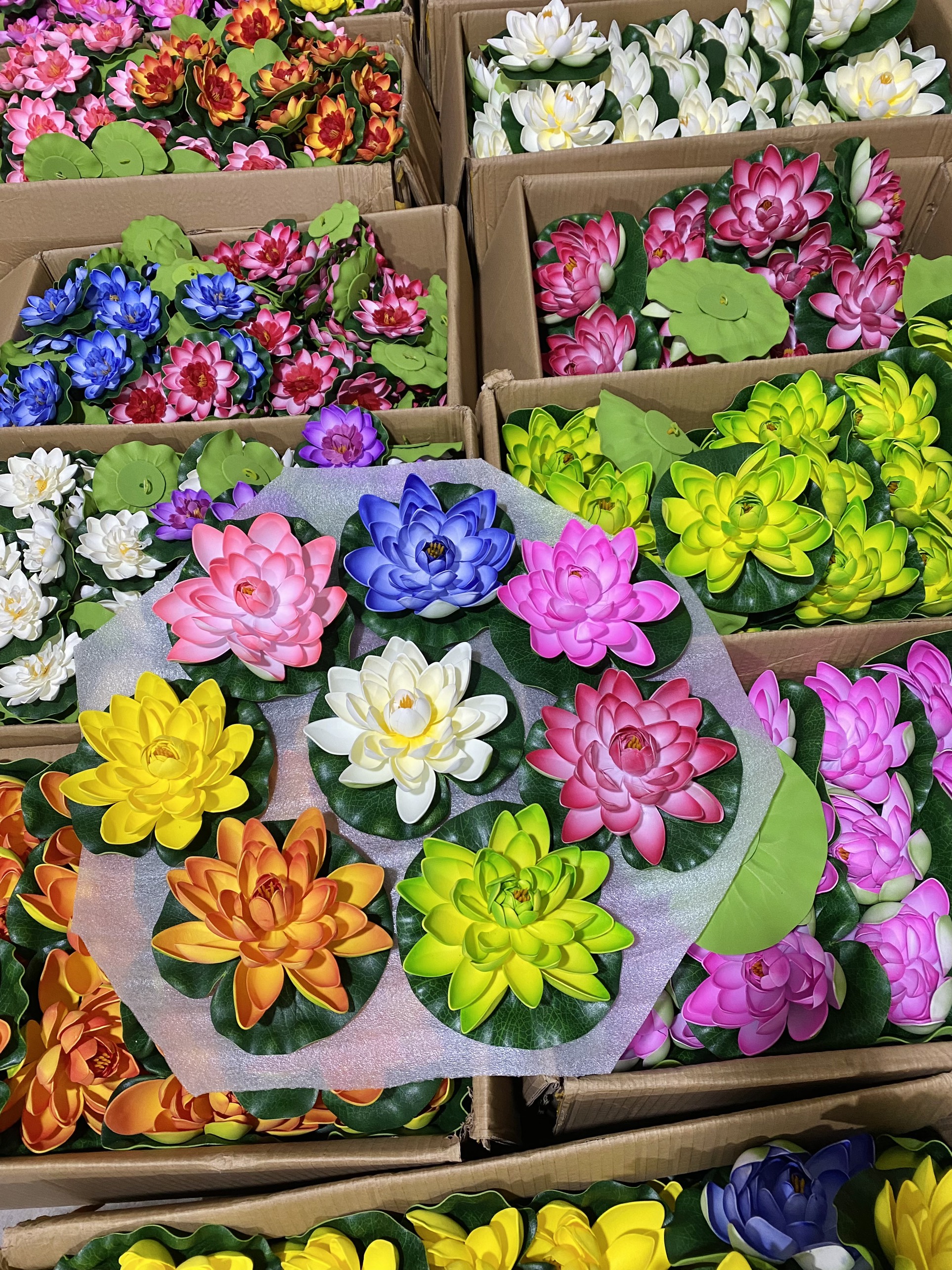 Hoa sen thả hồ