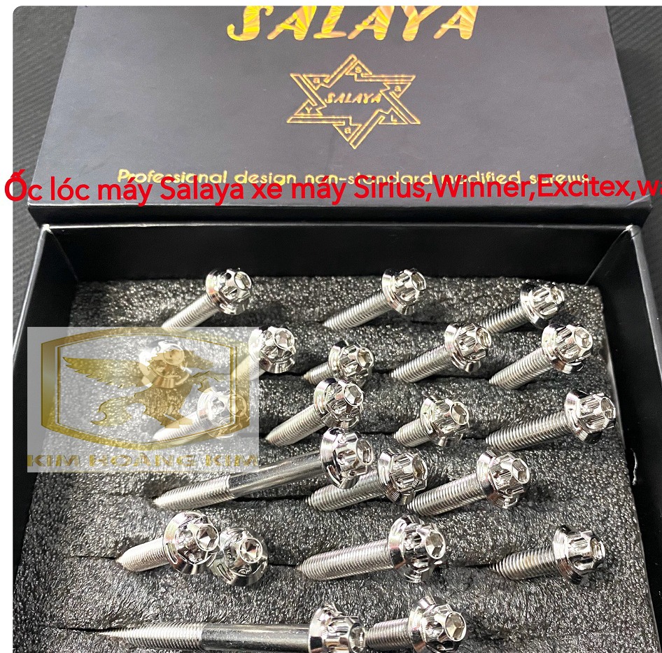 Bộ ốc lốc máy Salaya Inox 304 gắn lốc xe máy Winner 18 con hàng chất lượng siêu rẻ