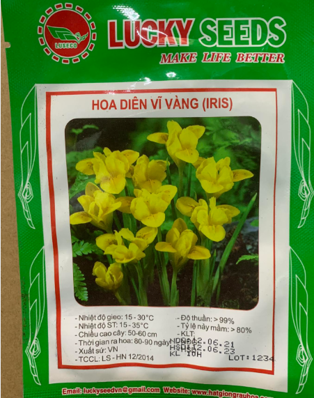 Hạt giống diên vĩ vàng - gói 10 hạt
