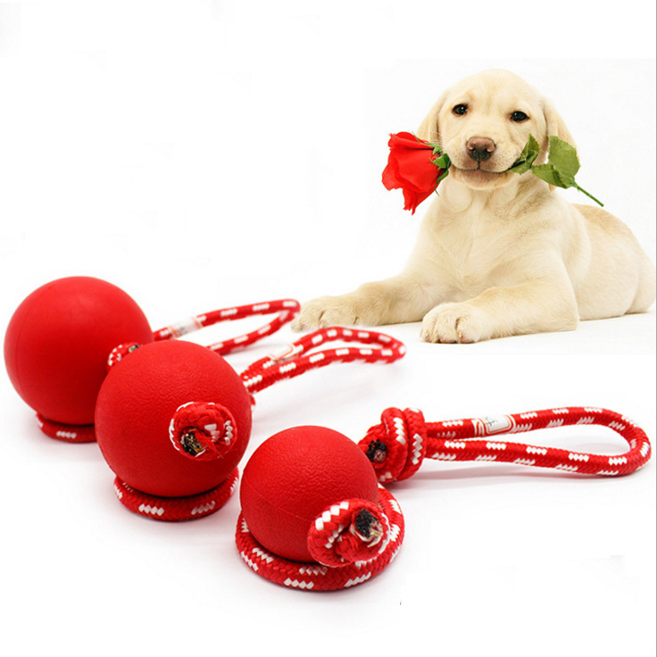 [HOÀN TIỀN 10%]Đồ chơi bóng cao su gắn dây cho thú cưng - CutePets