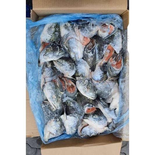 Đầu cá hồi Nauy - 1kg (giao tphcm)