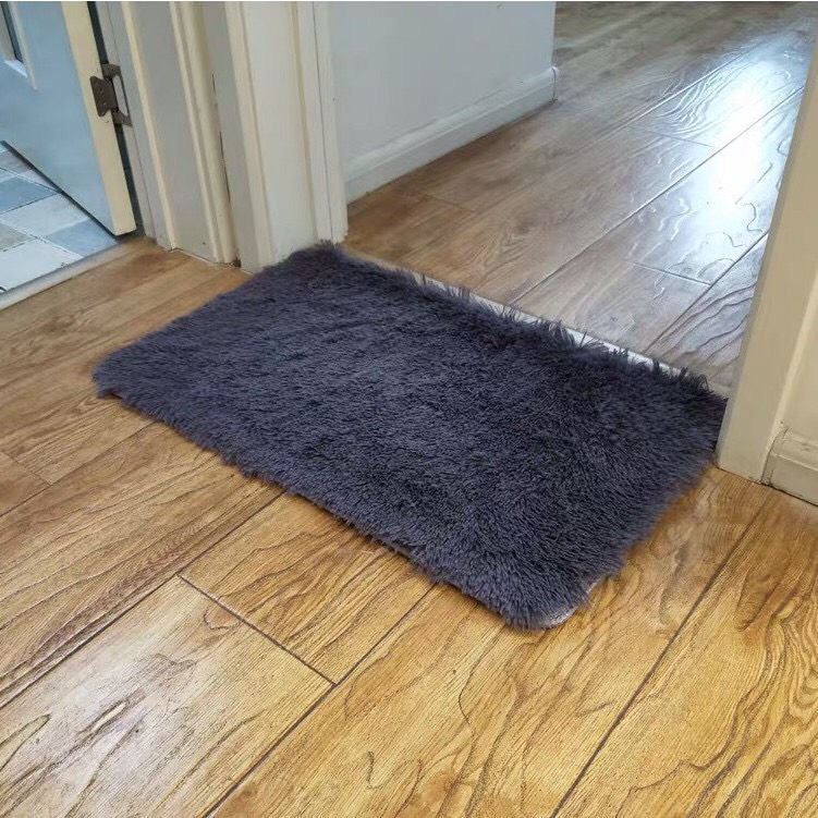 Thảm Chùi Chân Lông Thảm Lau Chân Siêu Mịn Chống Trơn Sang Trọng 60X40cm