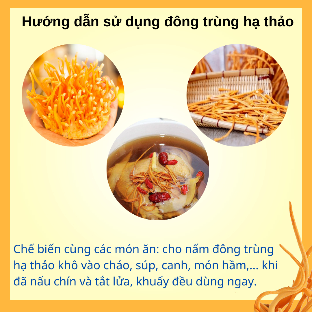 Đông trùng hạ thảo sấy thăng hoa dạng sợi [túi zip]