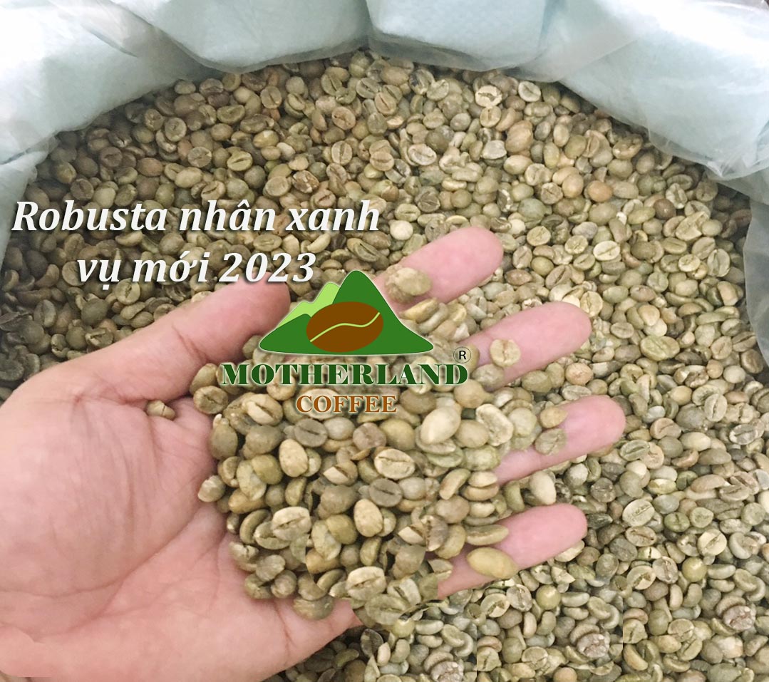 5kg Cà Phê Nhân Robusta S18 vụ mới 2023