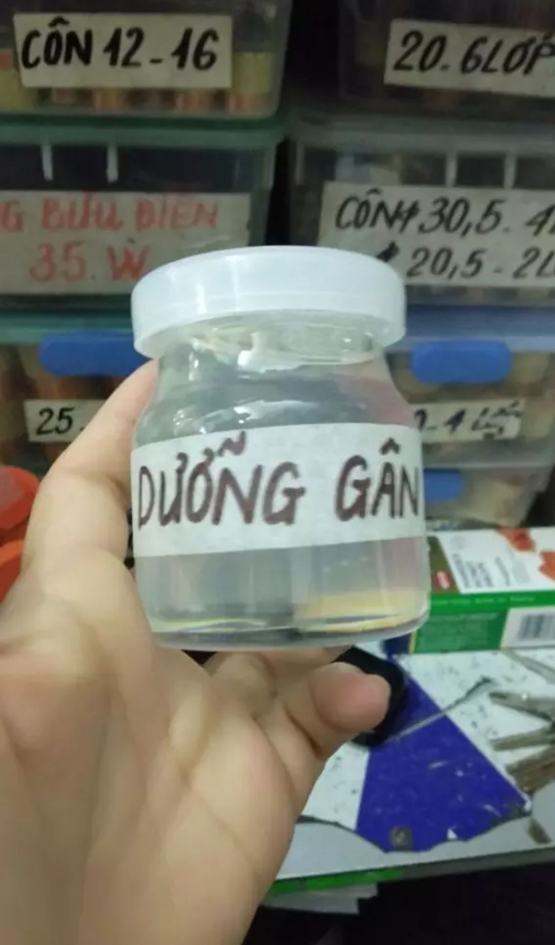 keo dương gân loa tốt
