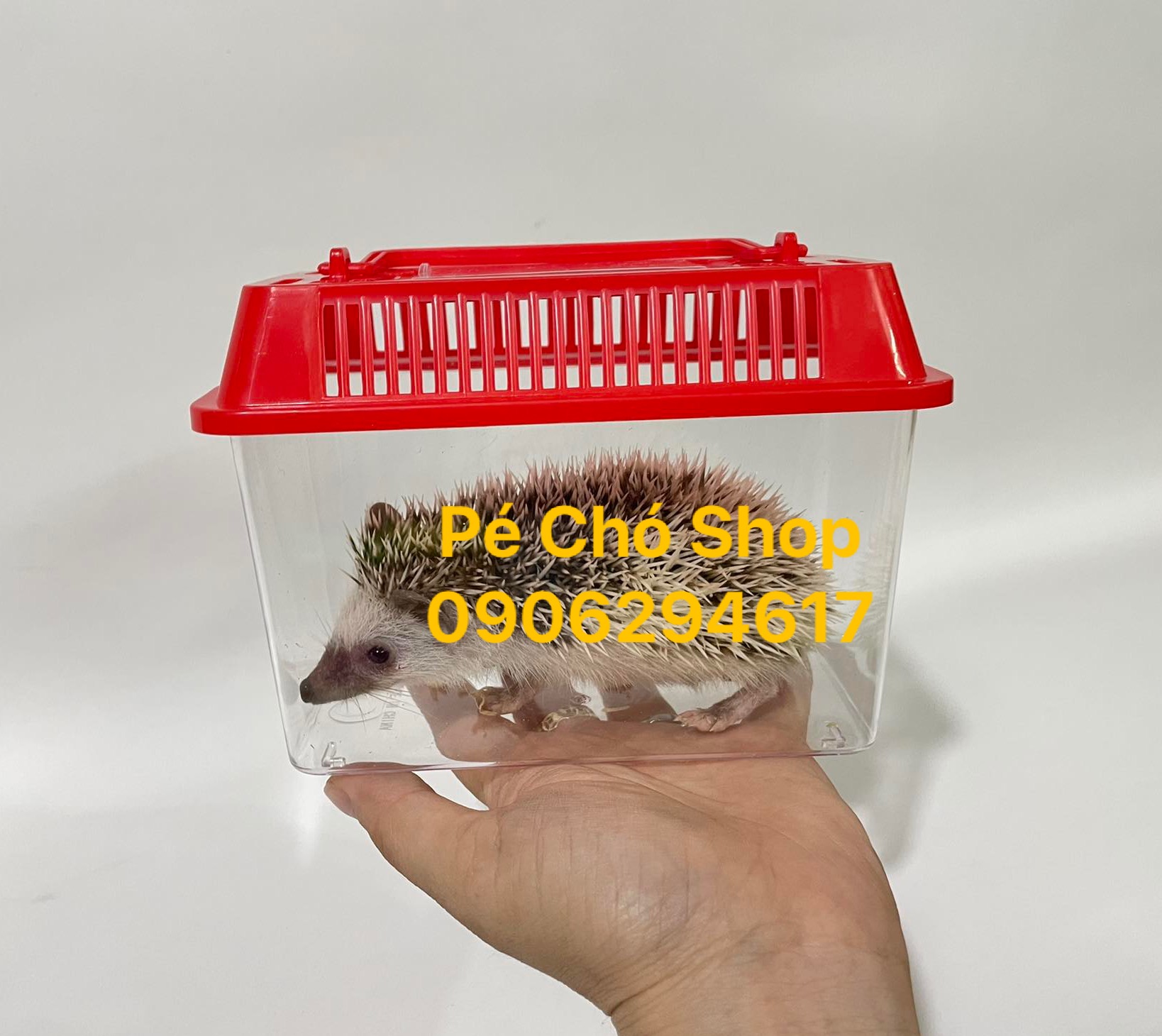 [HCM]Hộp Mika Nhỏ vận chuyển thú cưng bò sát(size dài 15cm rộng 7cm cao10cm)