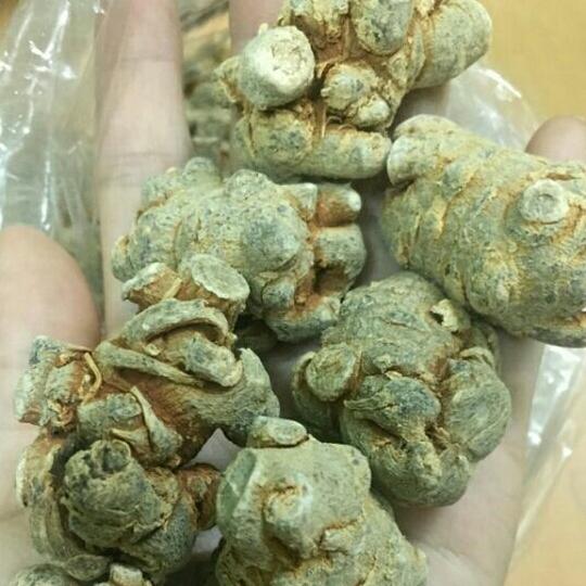 500g xuyên khung