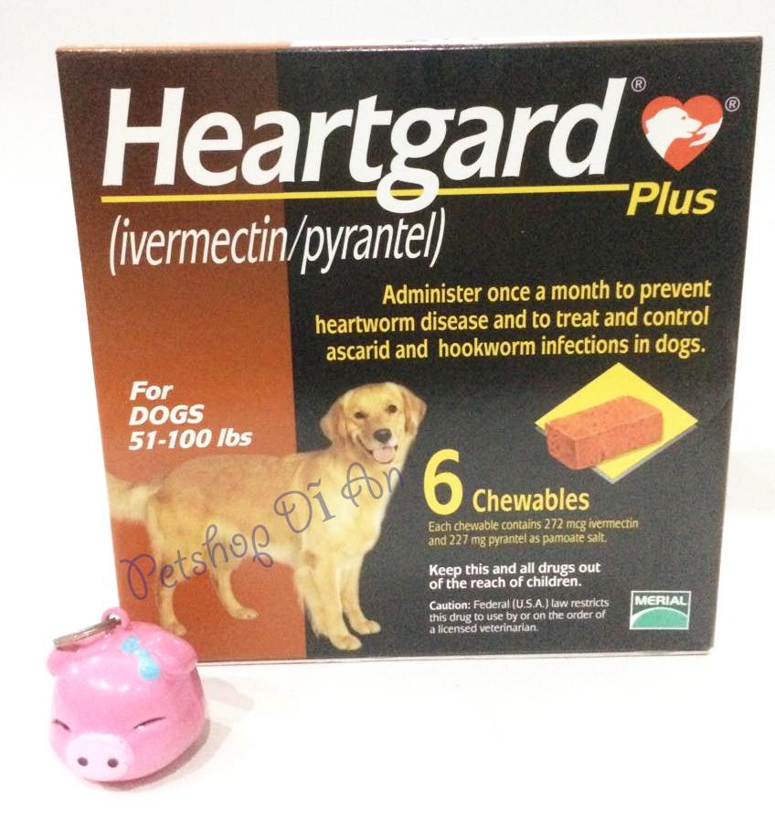 heartgard plus amazon