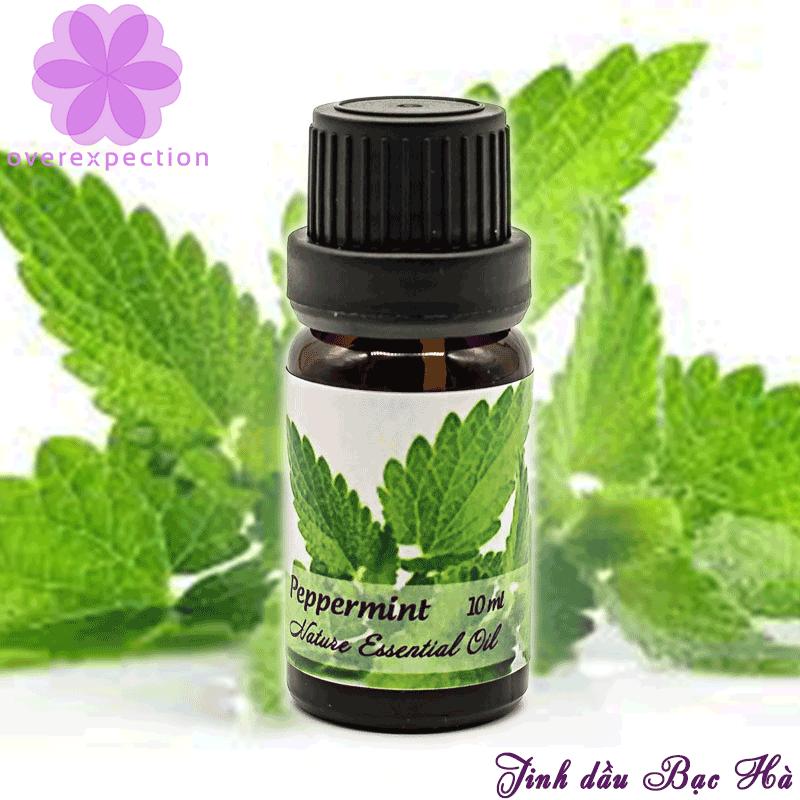 Tinh dầu bạc hà - Peppermint Essential Oil