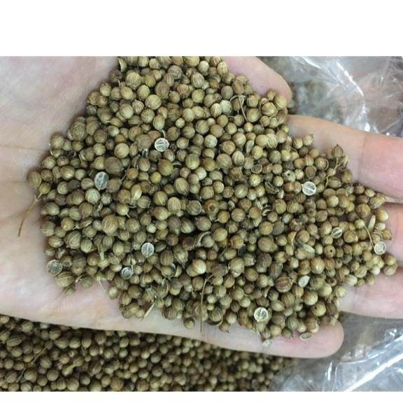 1kg hạt mùi hạt ngò