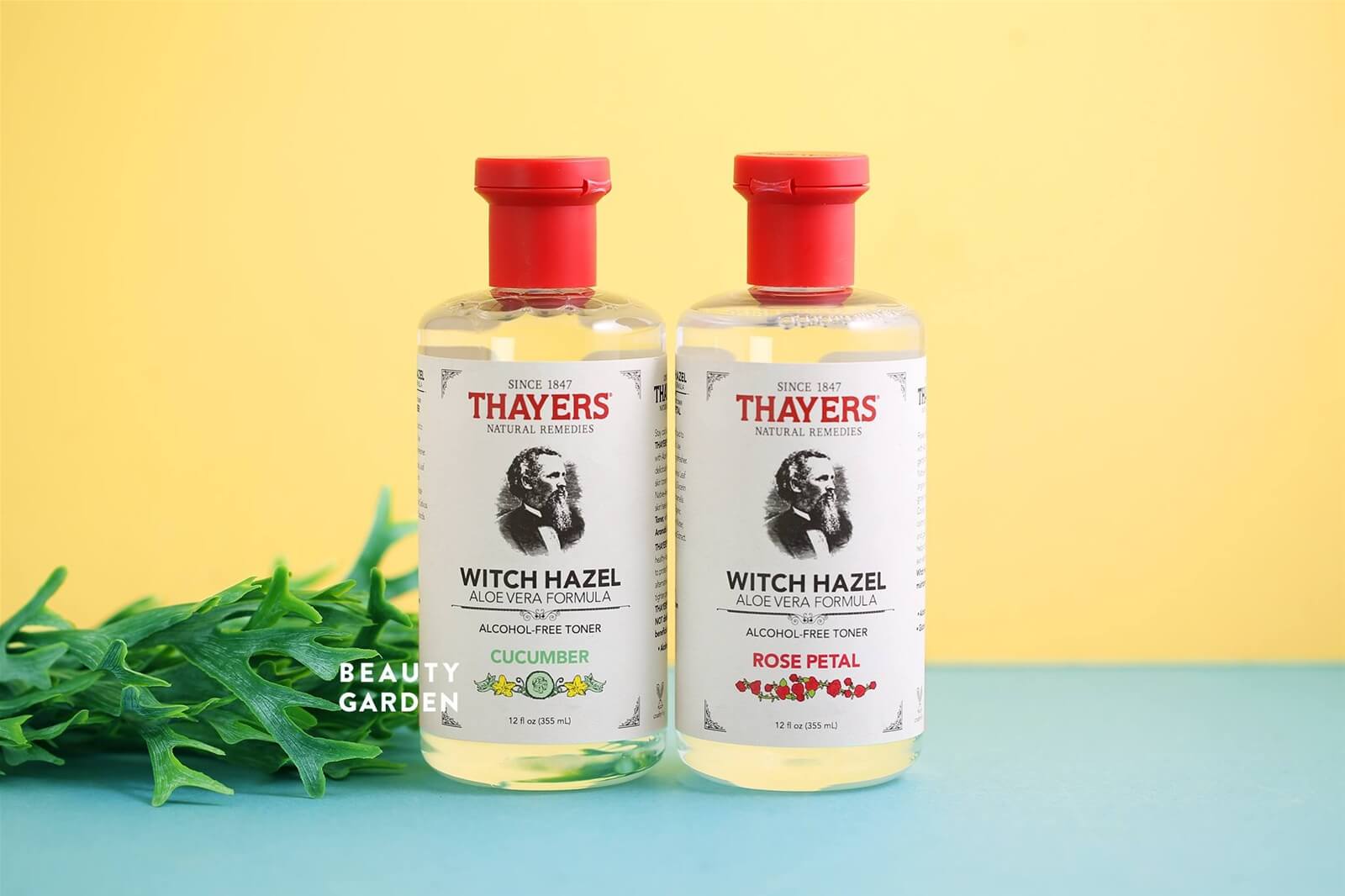 Toner Thayer Hoa Hồng