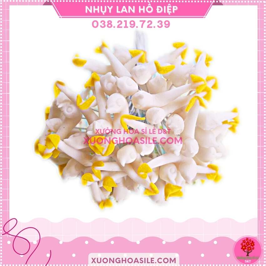 [HCM]NHỤY LAN HỒ ĐIỆP
