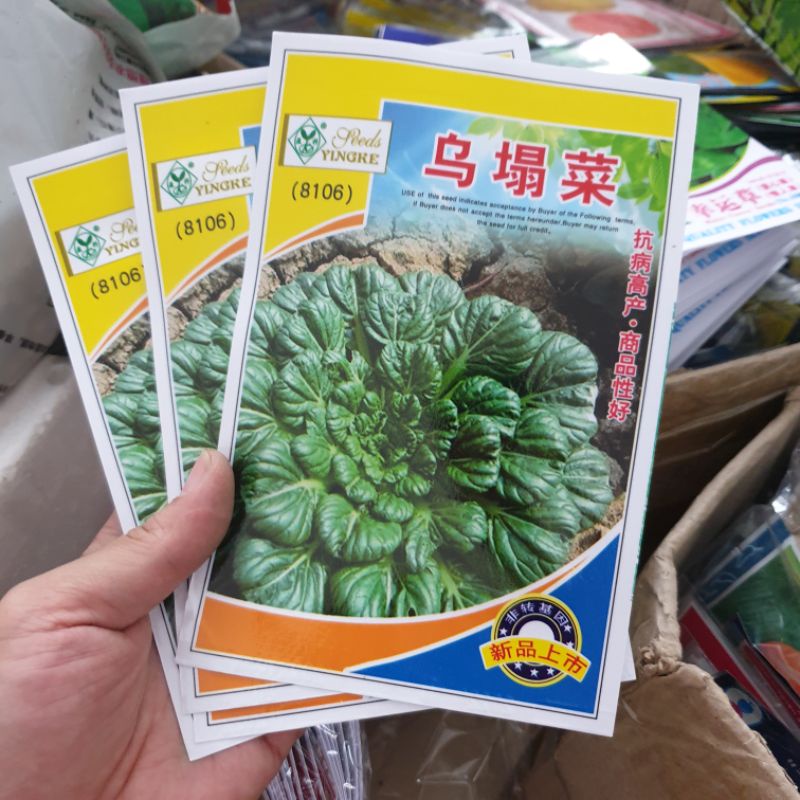 Hạt giống cải hoa hồng tasoi. Hàng Trung Quốc. Gói 3 gram. Tỉ lệ nảy mầm cao