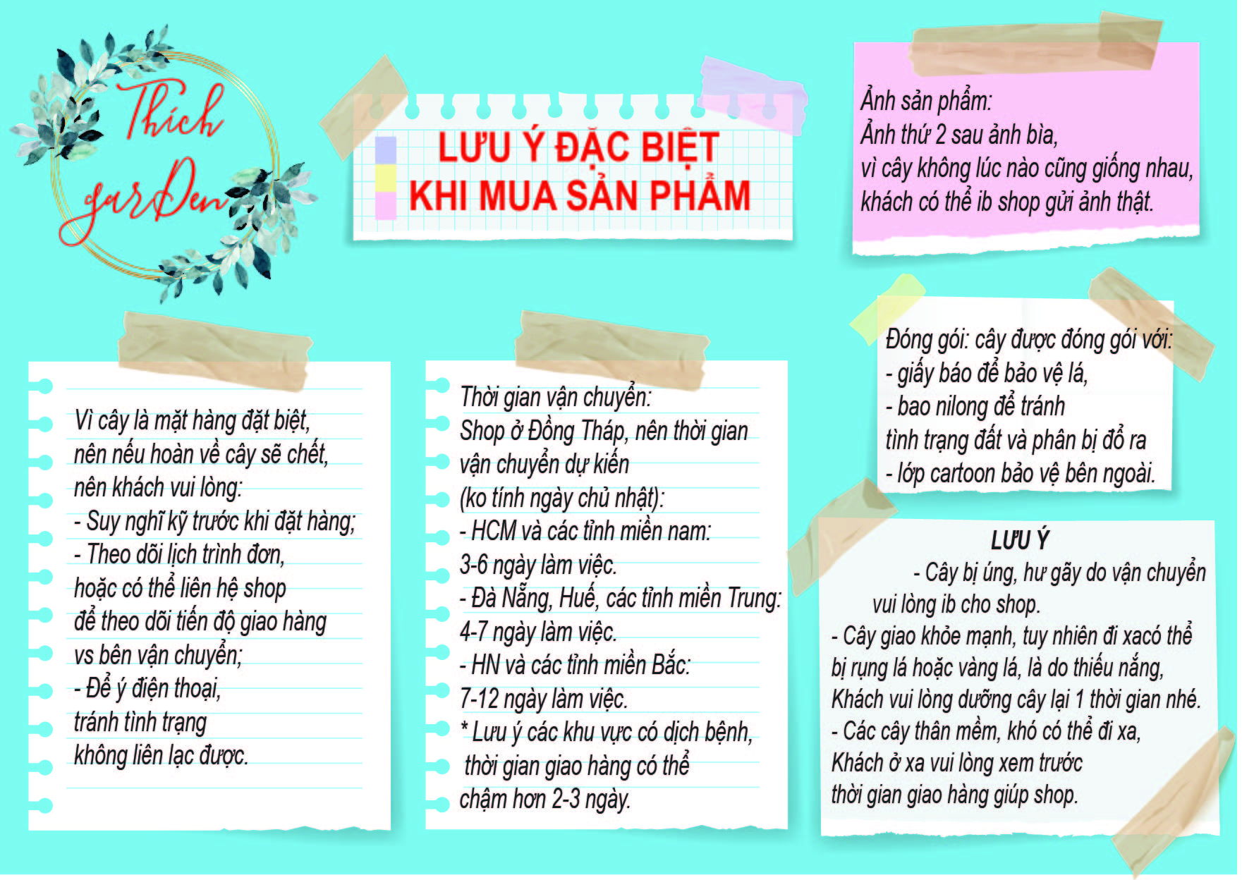 [TẶNG PHÂN BÓN] Mười giờ Úc - MH: TMM1005