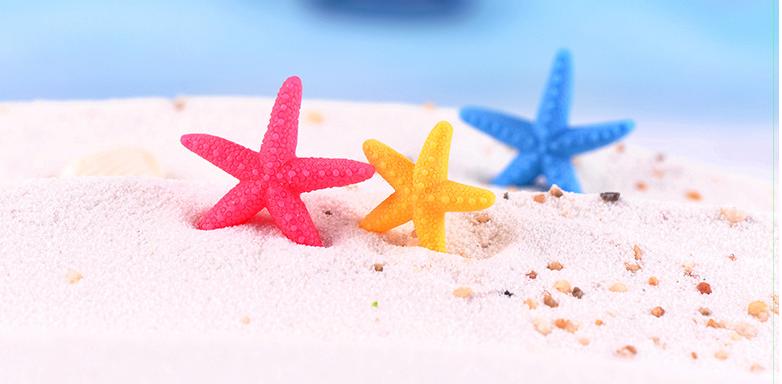 Mô hình sao biển màu sắc trang trí tiểu cảnh thủy sinh terrarium chậu cây cảnh sen đá bánh kem