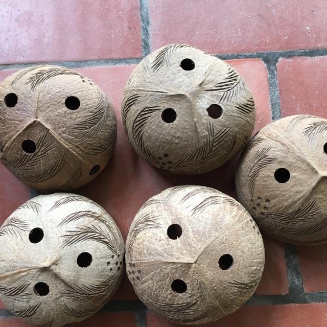 5 gáo dừa trồng Lan kèm móc treo thép