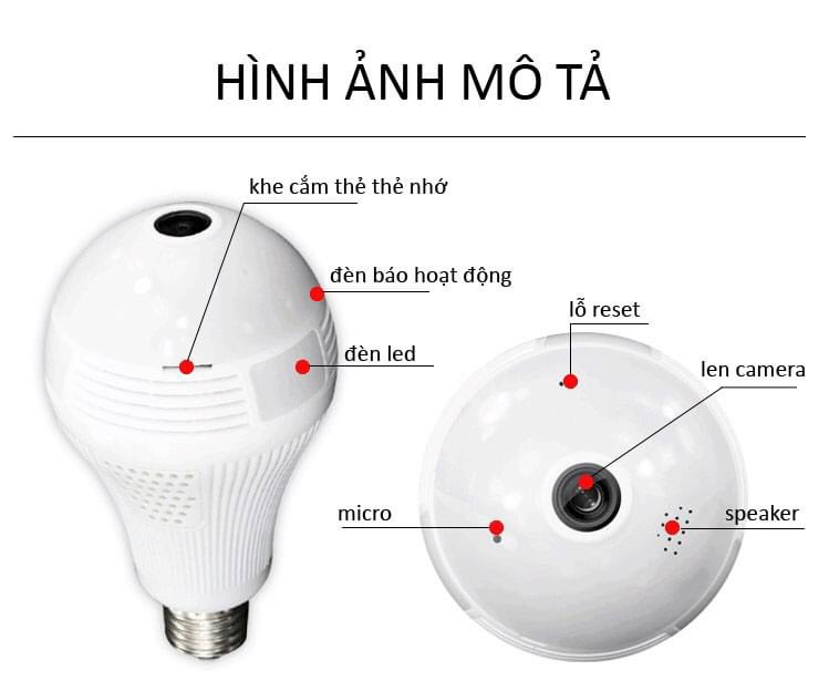Camera Wifi Bóng đèn Panorama