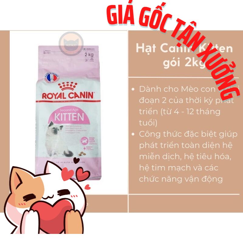Thức ăn cho Mèo con Royal Canin Kitten 2kg