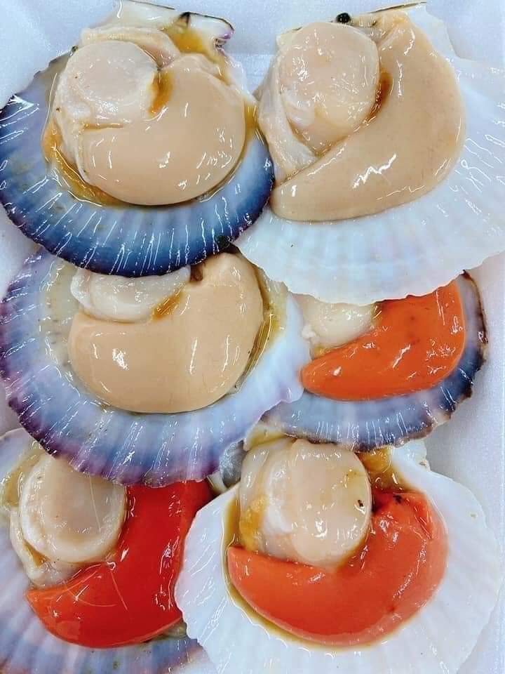 ￼Sò điệp Nhật nguyên Con 1kg