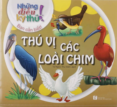Fahasa - những điều kỳ thú - thú vị các loài chim