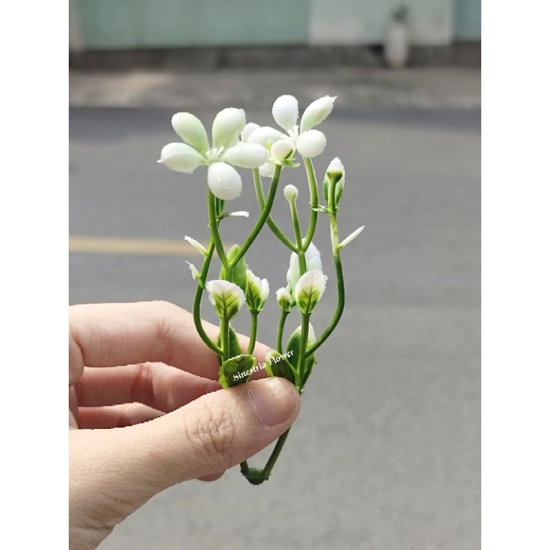 100gr cỏ điểm hoa các loại đã nhặt sạch cọng dư