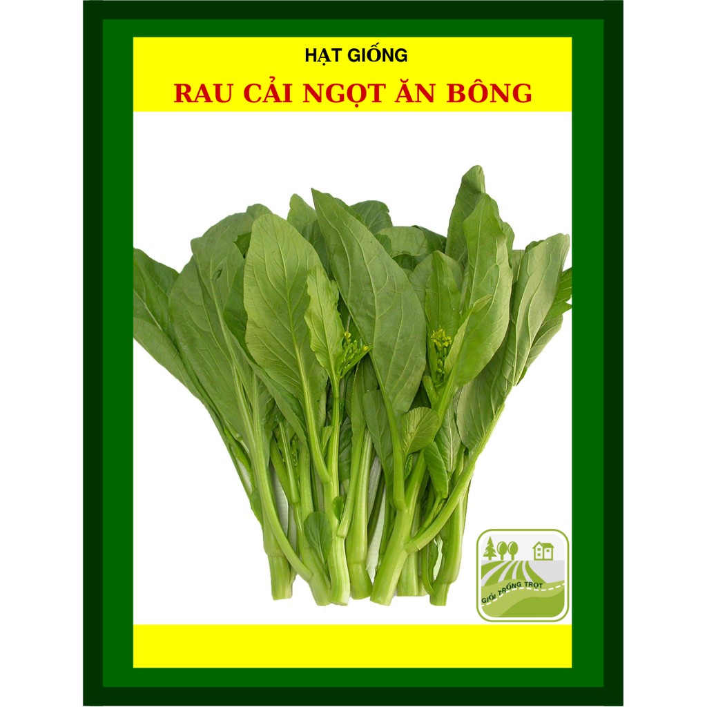 20G - Hạt Giống Cải ngọt Ăn Bông