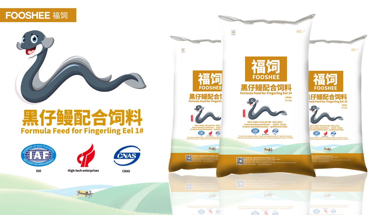 CÁM CÁ CHÌNH FOOSHEE 55 ĐẠM