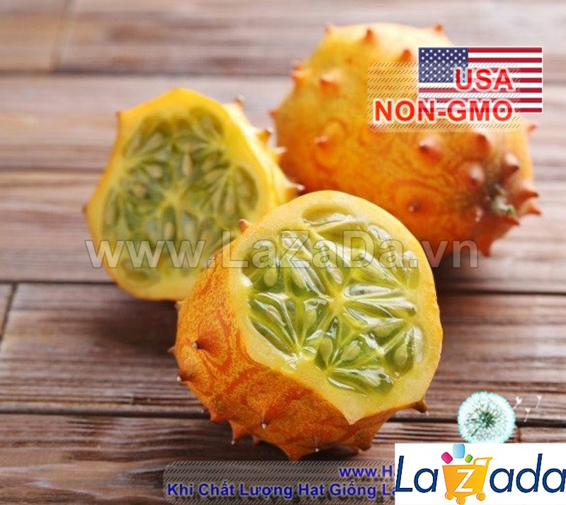 50.HẠT Hạt Giống Dưa Chuột Gai Chịu Nhiệt Kiwano (| B46*V43)