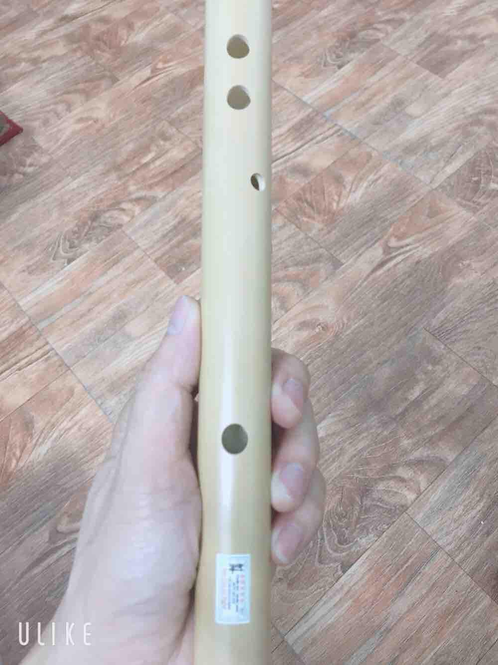 Sáo mèo nam tone đô chất lượng cao