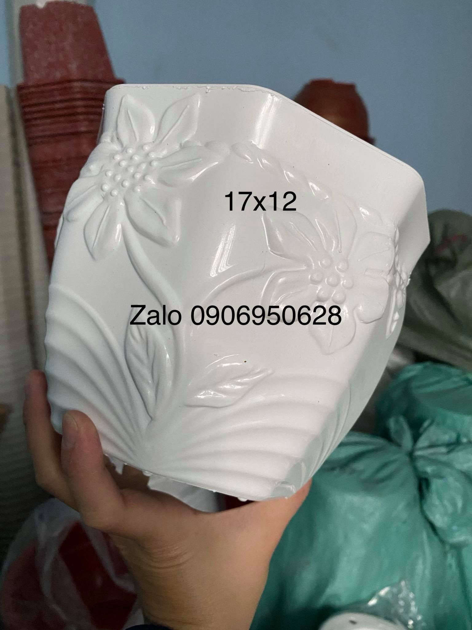 [HCM]Chậu nhựa hoa mây trắng