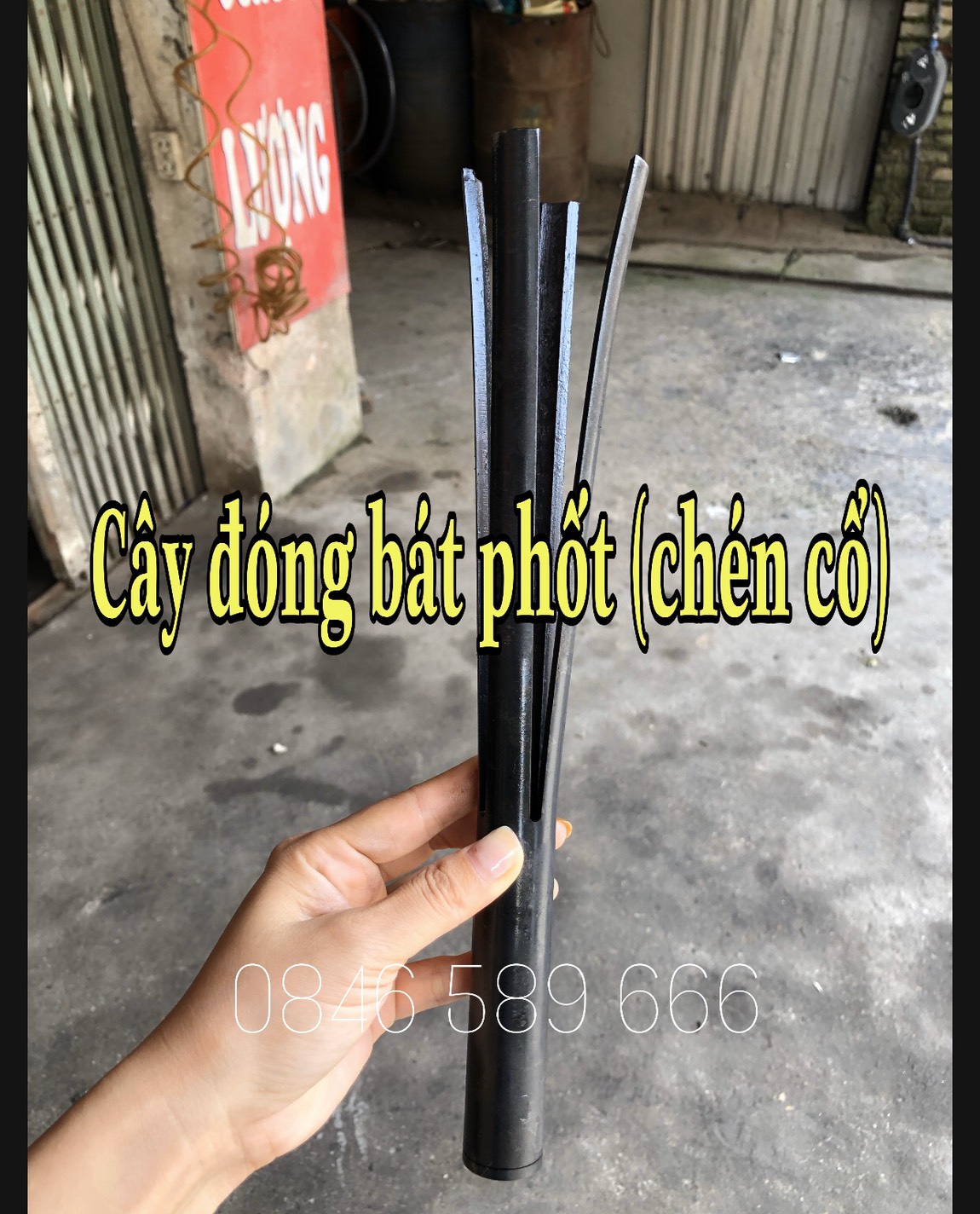 cây đóng ra bát phốt chén cổ