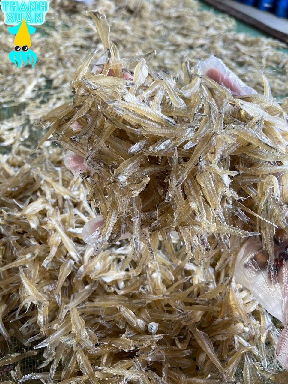 Khô cá cơm ( cá dỏng) bỏ đầu