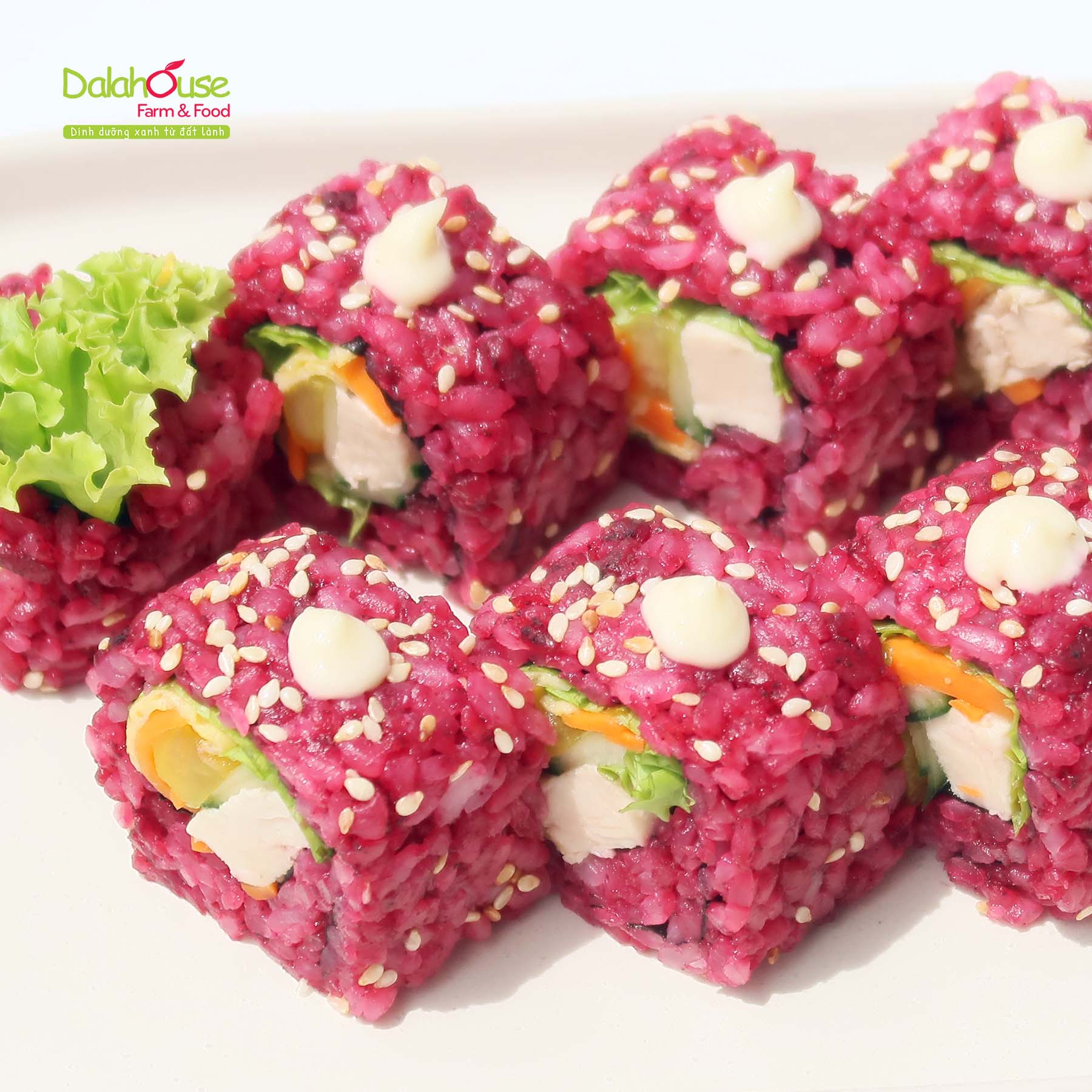 Bột củ dền sấy lạnh Dalahouse hộp 120g