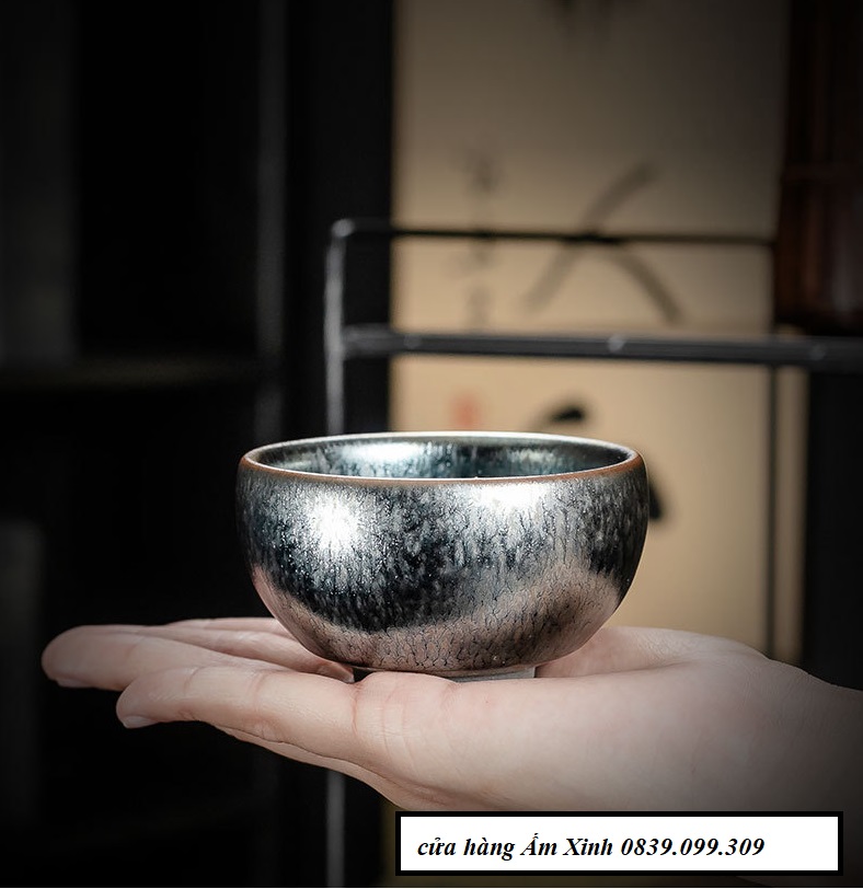 Chén Thiên Mục Du Trích