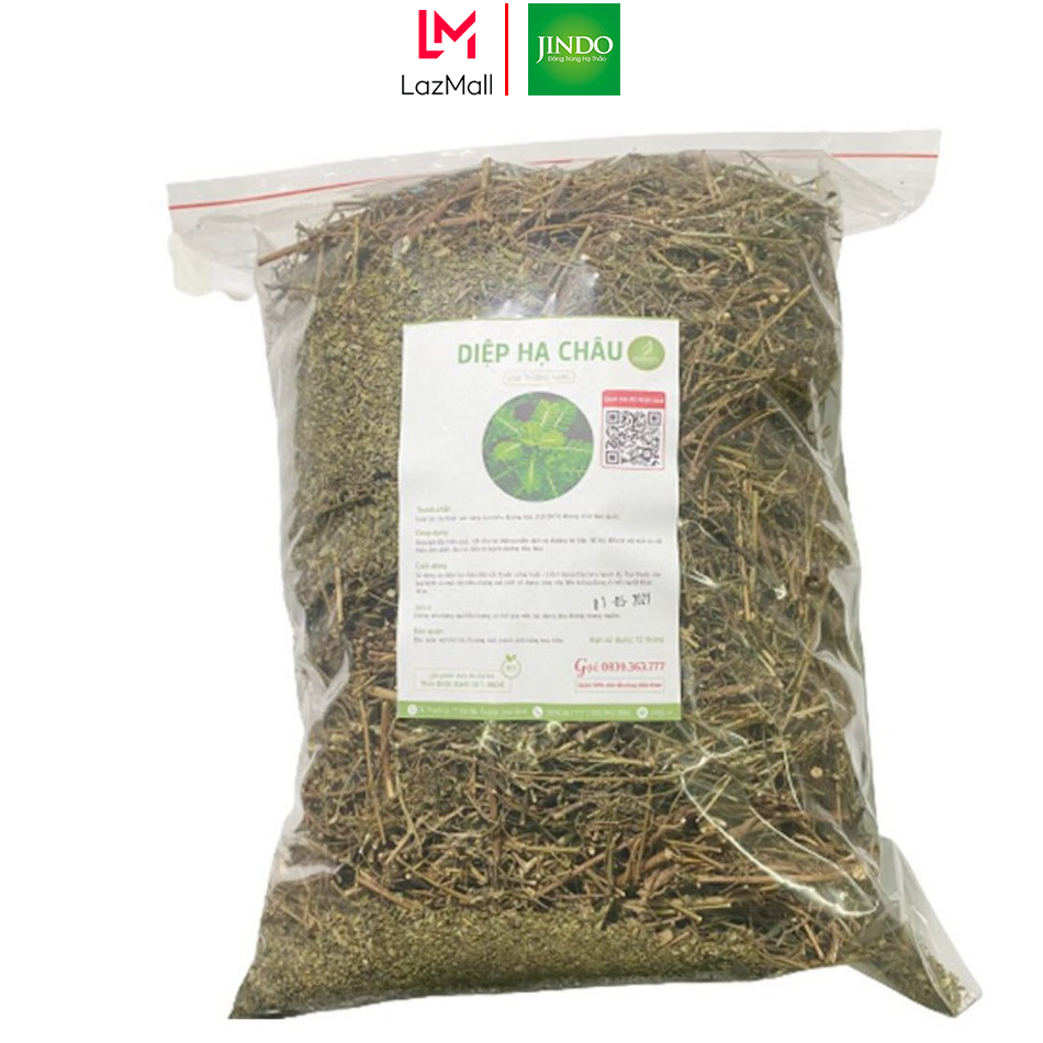 Diệp hạ châu hay còn gọi là cây chó để răng cưa JINDO 1kg giúp mát gan