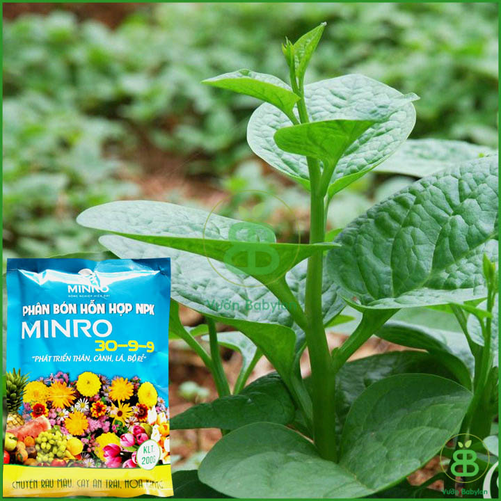 200Gr Phân Bón NPK Phát Triển Thân Lá Cành MINRO 30-9-9