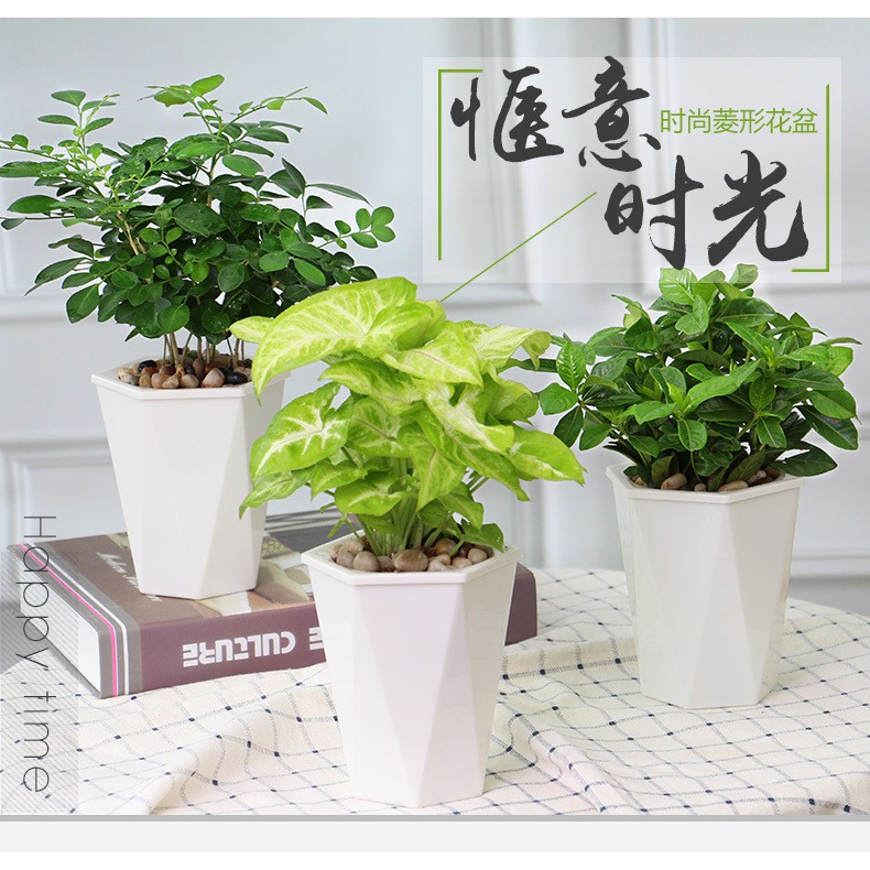 Chậu cây nhựa tự tưới nước cho cây cảnh nội thất, cây hoa cảnh, cây văn phòng, chậu trồng cây thông minh tự tưới nước