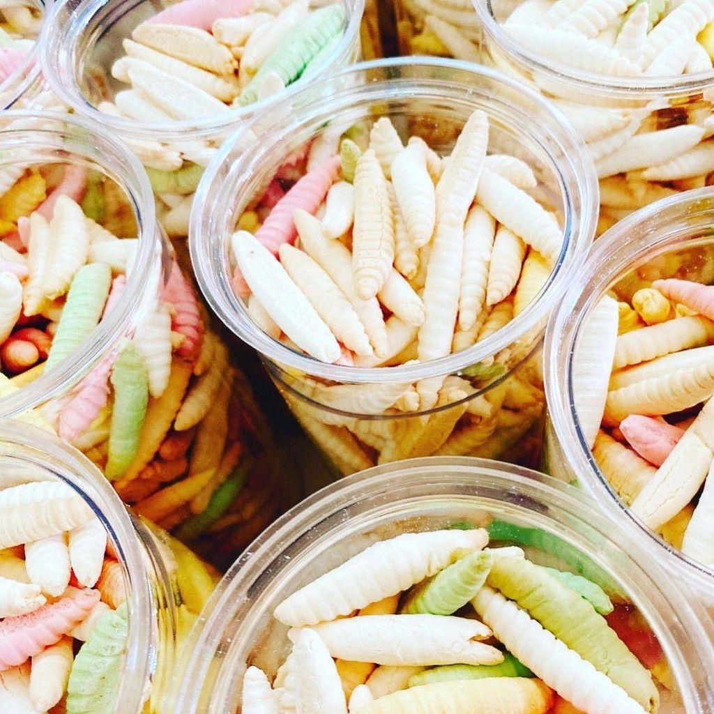 Bánh men con sâu