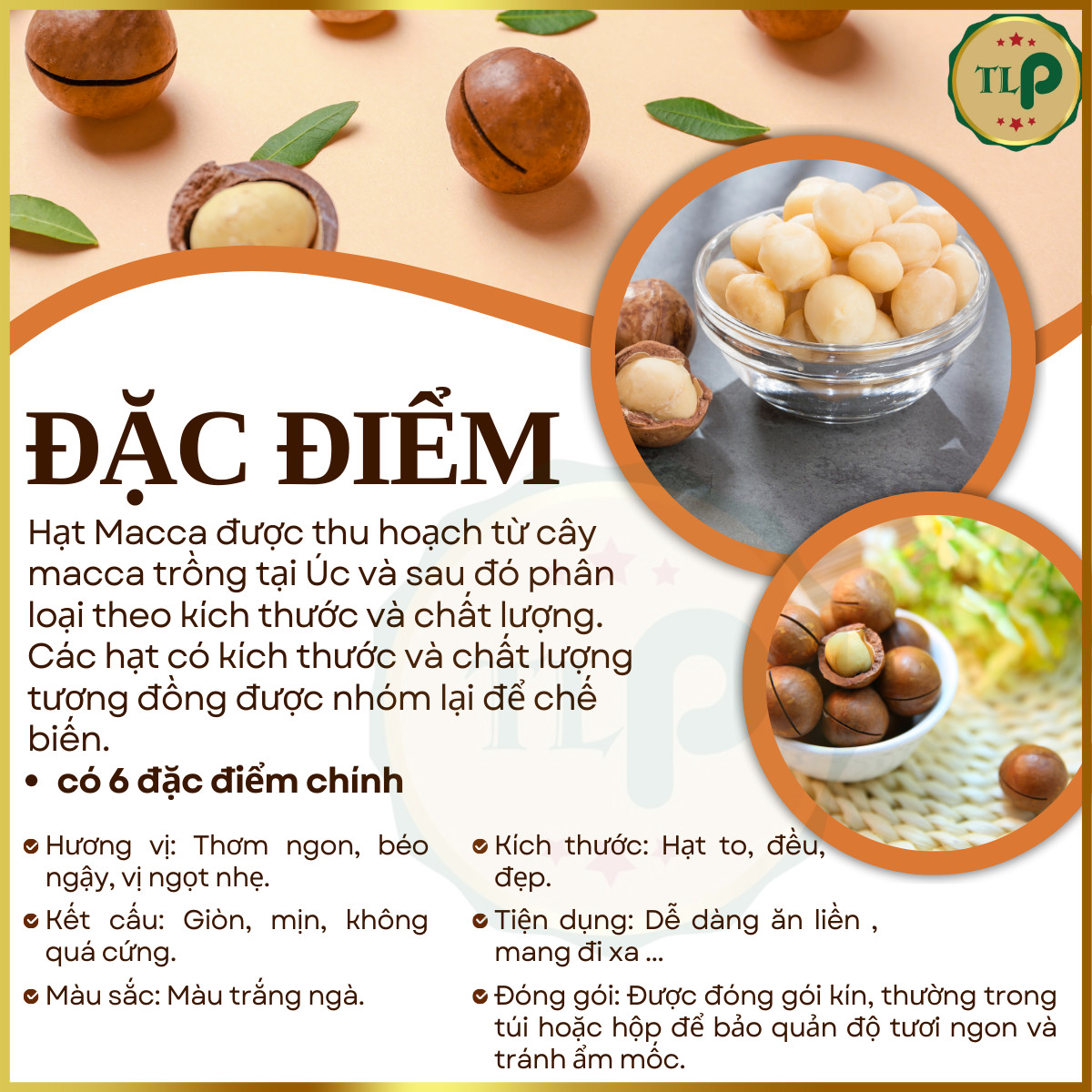 Tan Loc Phat Cracked Macadamia Nuts, 500g Bag